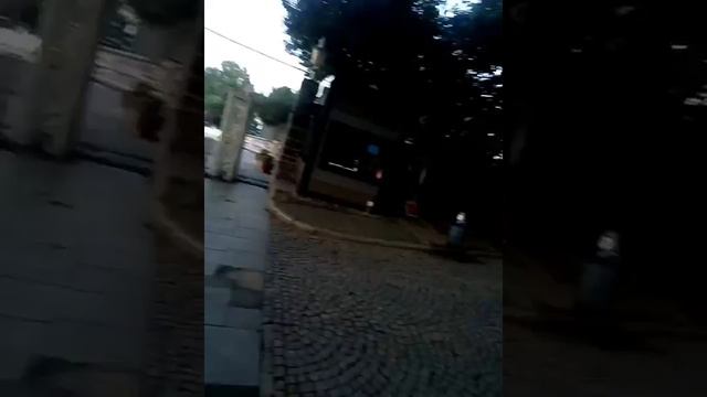 Очень красивый парк в Стамбуле смотреть онлайн