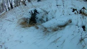 Построили охотничье жилище, но такого я не ожидал.mp4