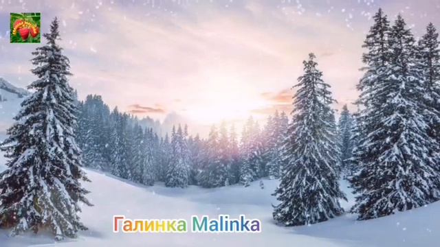 Жубревы /Саня Жубрев /Обзор Влогов /Не жизнь, а Малина//Забыл сколько лет дочери //