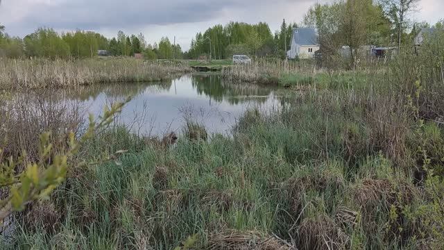 Обзор земельного участка вокруг деревенского дома на проекте Кожино. 07052023.