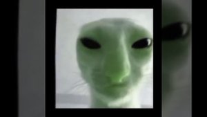 зелёный кот пришелец поет песню