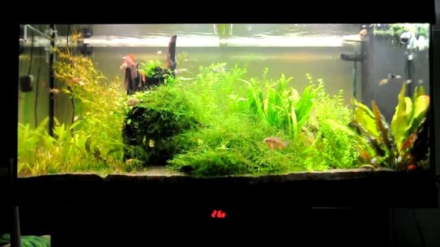 Гроза на контроллере AquaLed4 смотреть онлайн