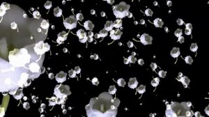 Виктор  Забродин и группа " Сентябрь" авторское видео