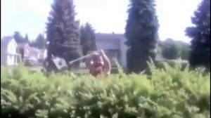 Как постричь кусты с помощью бензопилы