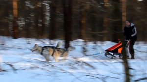 Прыжок через поваленное дерево на модели Слалом