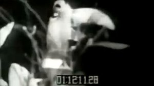 TRASHMEN - Surfin' Bird (Птица-синица) (1963)