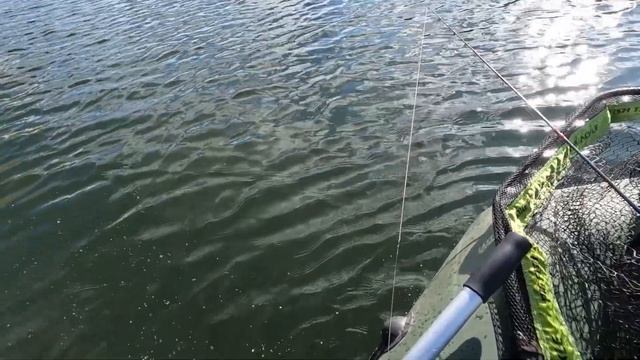 После джеркбейтов пробую поймать щуку на 130-е минноу. смотреть онлайн