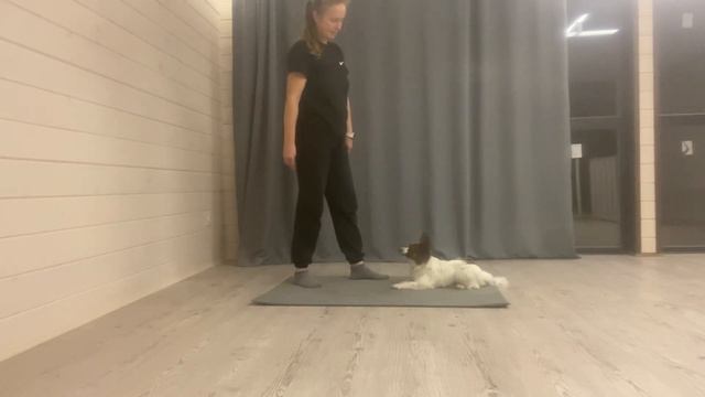 Качелька 6 смотреть онлайн