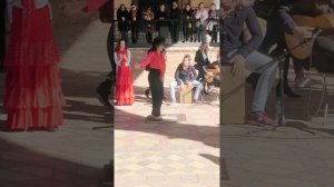 Street Flamenco in Sevilla, Plaza de España, Spain, Part 7