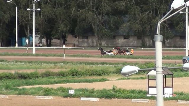 Московский ипподром. Бега. 06.08.17. Все финиши дня смотреть онлайн
