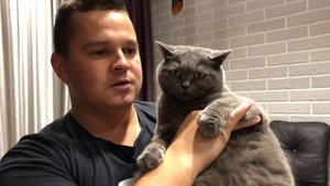 Британка из тик тока . Молитва