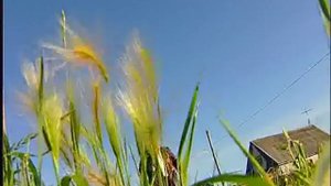 Александр Бархатов (Казанский район)