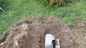 Бензо фреза для удаления пеньков корней ч2