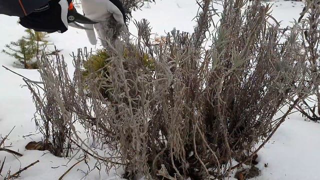 прованс по українськи 2 частина смотреть онлайн