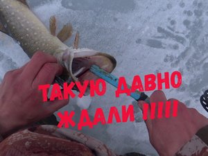Одни на огромном водоеме. Супер рыбалка на щуку. Много подъемов. Super pike fishing.