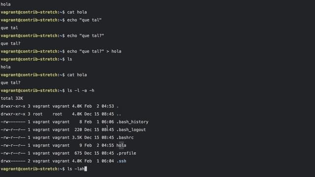 Comandos básicos en linux ls, cat, echo, mkdir, cd, pwd, clear смотреть онлайн