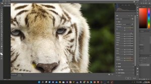 Ultimate Adobe Photoshop Training - From Beginner to Pro 2022 || 1 1. Filters