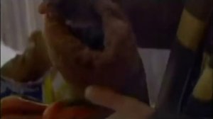 Жестокая игра пожарный клип