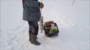 Дневные поимки форели,Клевое место,Юдино.