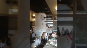 ПОЗДРАВЛЕНИЕ В КАФЕ. с днем рождения. Аэромедведь. Милое видео до слез. Минск.