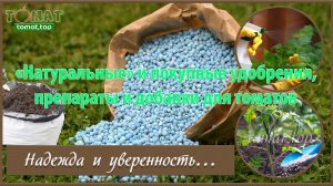 «Натуральные» и покупные удобрения, препараты и добавки для томатов. Надежда и уверенность….