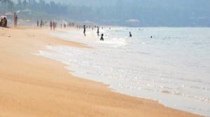 Отель цитрус гоа отзывы