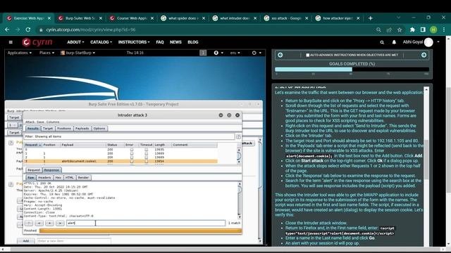 Burp Suite Web Application Security Analysis
