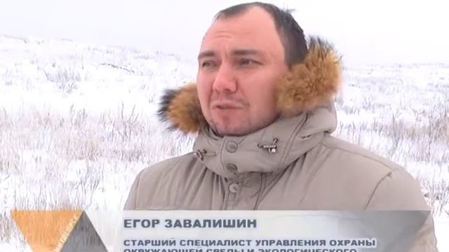 МУСОРНАЯ ТЕМА смотреть онлайн