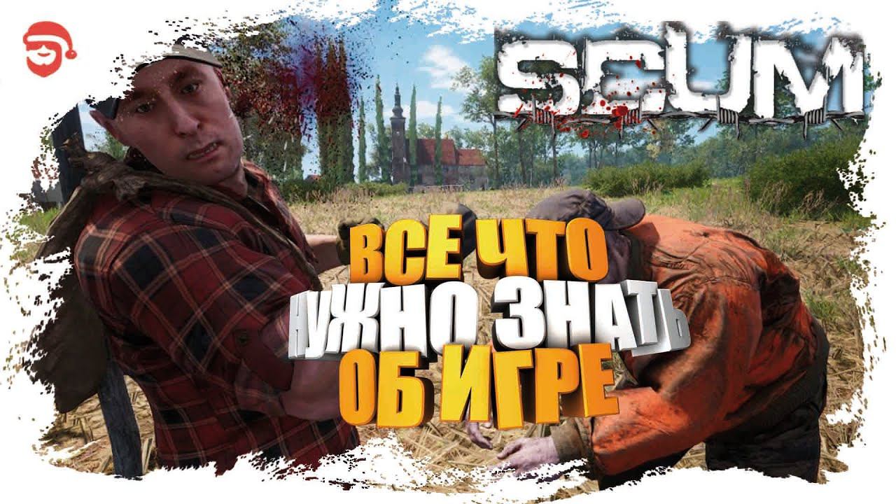 Все что нужно знать об игре [Scum]