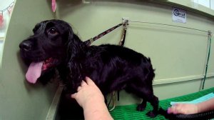 Комплексный уход.