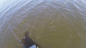 ловля щуки на колебалки вначале лета