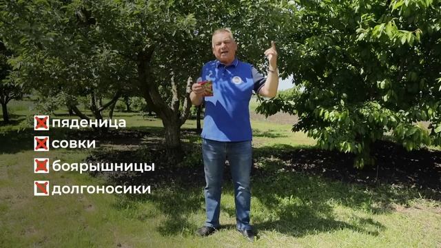 Плодожорка ОБОЙДЕТ ваш сад стороной! КОГДА и ЧЕМ обработать плодовые от плодожорки?