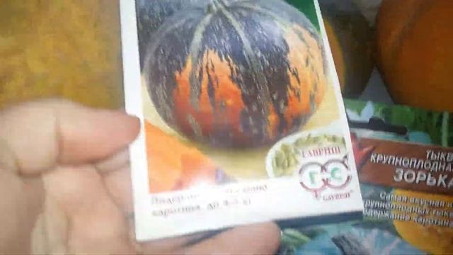 Тыквы. Три сорта. Хорошо хранятся.