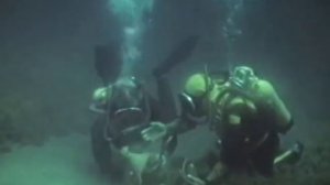 "С аквалангом в Крыму"