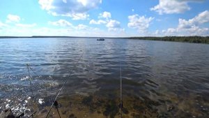 ТРОФЕЙНЫЕ ЛЕЩИ И КРУПНЫЙ КАРАСЬ НА ВОЛШЕБНЫЕ ГАЛУШКИ СДЕЛАЛИ НАШУ РЫБАЛКУ НА ВТОРЫЕ СУТКИ! БЕЛОЯРКА