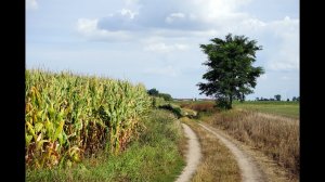 Фильм "ПОЛЬША: Тропа Е11"