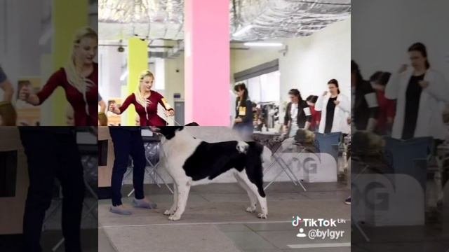 ВЯЗКА