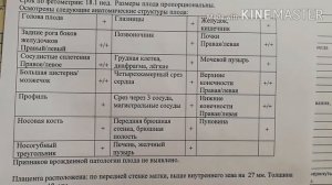 Беременность 18-23 недели. Второе УЗИ. Узнали пол ребёнка