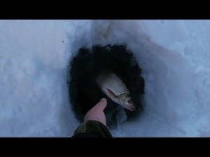 ПРОВЕРКА ПАЛОК \ 14. 03. 19 \ ЕСТЬ ЯЗИ