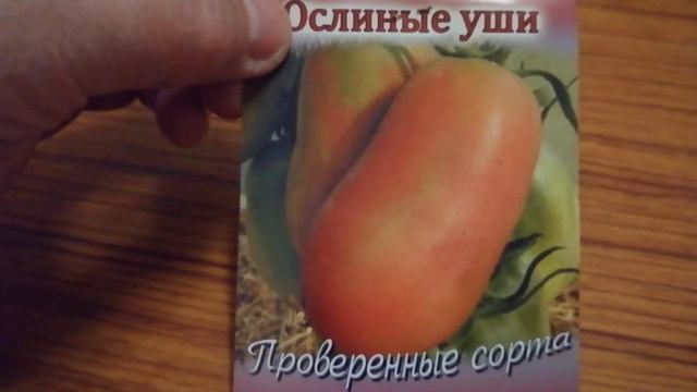 ПЕРЦЕВИДНЫЙ томат "ОСЛИНЫЕ УШИ" смотреть онлайн