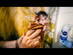 Люська пытается забрать и свою кашу и Влада! Моем Люсе Опу!