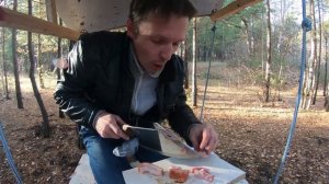 Жратва в гигантской кормушке! Покорми птичку! [ Горячий Цех ]