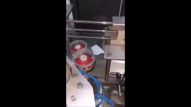 Автомат CFM-2Т для фасовки в ведерки смотреть онлайн