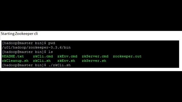 Starting and stopping Zookeeper server in Apache Hadoop