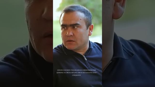 1 ноября 2023 г.