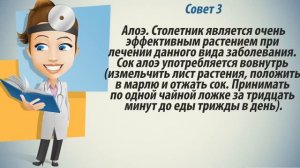 Трихомониаз лечение. Как лечить трихомониаз в домашних условиях.