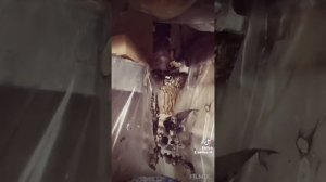 Засор на кухне !!! Что находится внутри кухонного стояка...