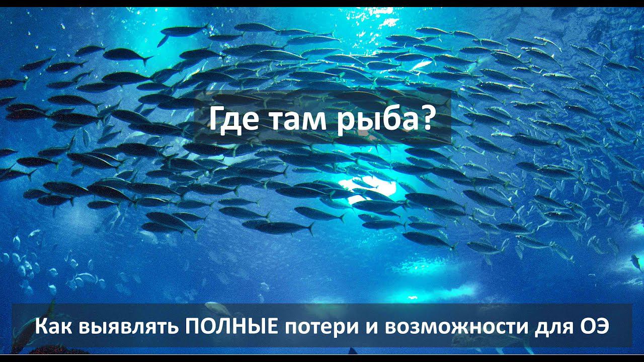 Как выявлять ПОЛНЫЕ потери и возможности для мероприятий Операционной Эффективности