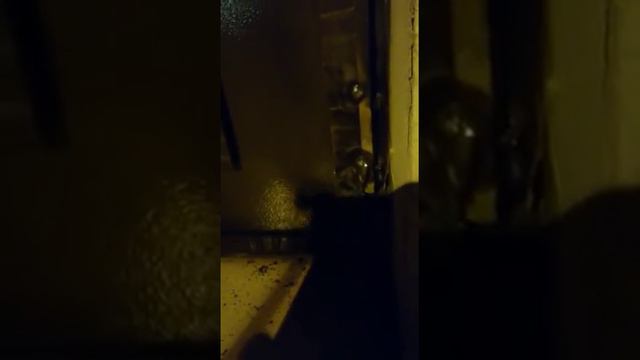 Махачкала мечеть смотреть онлайн