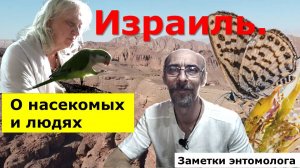 Израиль.О насекомых и людях
